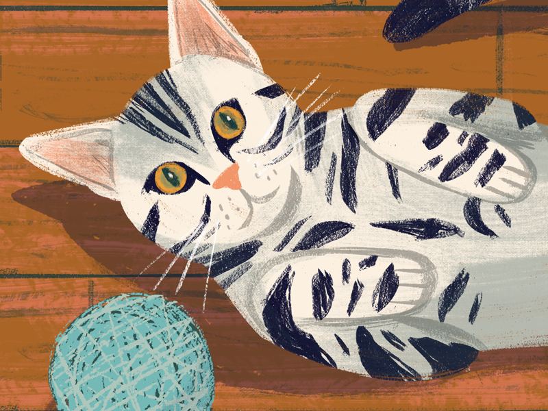 GitHub  Laosingcutecatavatars An illustrated cat collection for cat  lovers